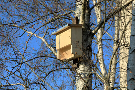Wooden bat house