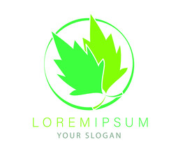 green leaf logo