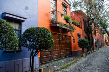 Fototapeta na wymiar Colorful Hispanic houses and beautiful bushes in Mexico City