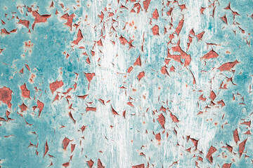 Old grungy cracked distressed white and orange and teal weathered wall paint peeling off rusted metal sheet. Textured background for posters and bloggers