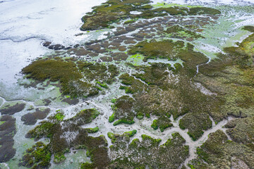Tidal Marsh, Tidal Wetland (MARISMA), Low Tide, Marismas de Santoña, Victoria y Joyel Natural Park, Cantabria, Spain, Europe