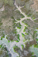 Tidal Marsh, Tidal Wetland (MARISMA), Low Tide, Marismas de Santoña, Victoria y Joyel Natural Park, Cantabria, Spain, Europe