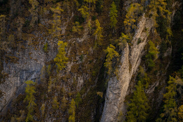 Autumnal larch on top of rock formations