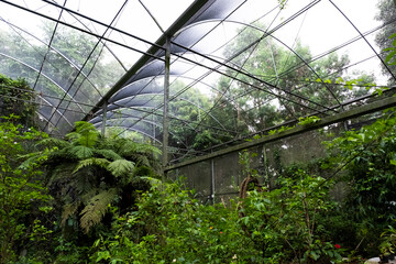 greenhouse 