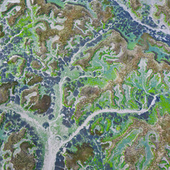 Tidal Marsh, Tidal Wetland (MARISMA), Low Tide, Marismas de Santoña, Victoria y Joyel Natural Park, Cantabria, Spain, Europe