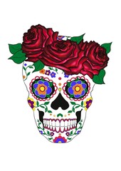 Hand-drawn illustration of imaginary Sugar Skull with multicolored patterns, with roses and leaves , halloween sketch in stylistics of the Holiday 