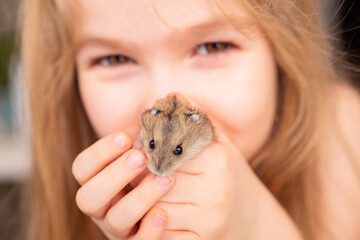 A little girl holds a hamster at her face. Children's friendship with pets