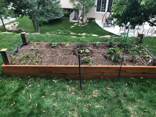 raised garden