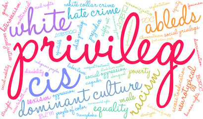 Privilege Word Cloud on a white background.