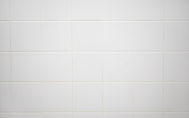 White tile shower wall great for a background