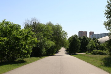 strogino city park in summer in moscow