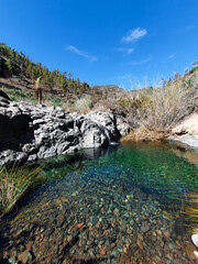 beautiful mountain river in the mountains.  landscape with mountains, forest and a river in front.  beautiful scenery