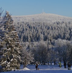 Brocken im Schnee