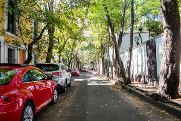 Hispanic houses and row of trees in street from Mexico City