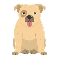 Fototapeta premium pet cute dog animal sitting on white background