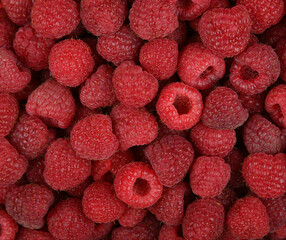 Background of fresh red ripe raspberry berries