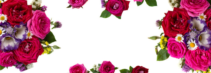 Close up rose flower. Beautiful rose flower in the garden. Rose flower background. Rose flower...