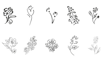 10 hand-drawn blossom wildflowers. Big collection of 10 hand-drawn roses. Big floral botanical set. Isolated on white background. Doodle simple vector collection.