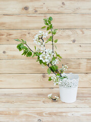 apple tree flowers in a white vase on a wooden background