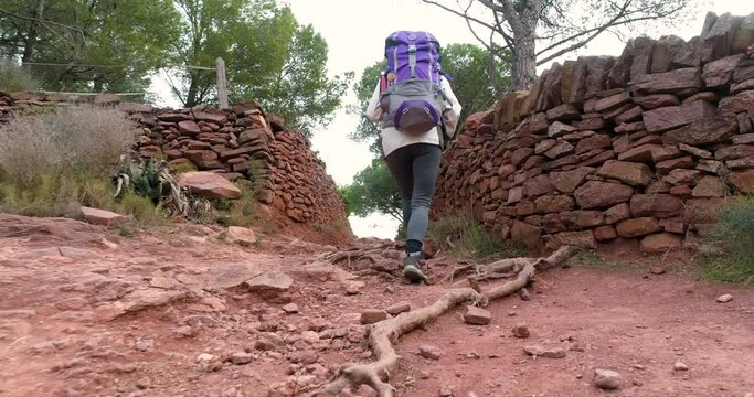 mujer adulta de espalda paseando por sendero de muros de piedra y ra&iacute;ces con mochila