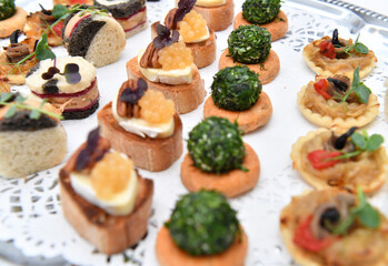 Catering. Colorful meat snacks with bread fruits and vegetables on a white plate.