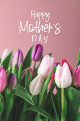 Happy Mother's Day postcard with text. Beautiful Bunch of Colorful Classic Tulips in the Vase on pink background, spring holiday concept