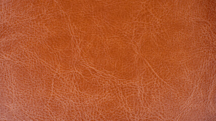 Fragment of a piece of treated red leather.