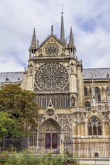 Obraz premium Fragment of Cathedral of Notre Dame de Paris (