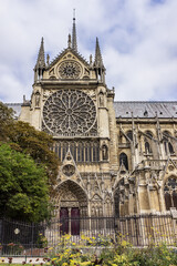 Fototapeta na wymiar Fragment of Cathedral of Notre Dame de Paris (