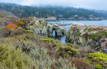 Beautiful landscape, view rocky Pacific Ocean coast at Point Lobos State Reserve in Carmel, California.