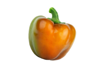 Red and green raw bell pepper, white background