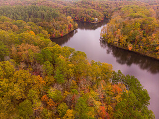 Fototapeta premium autumn in the forest