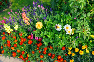 flower bed
