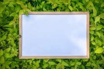 A wooden frame with a blank white background on the green grass. Space for the text.