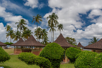 Fototapeta na wymiar Beach huts in Tobago with tall coconut trees