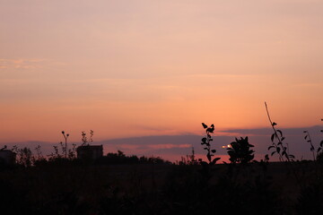 Fototapeta na wymiar sunset and trees