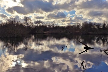 Cloudy reflections on lake landscape