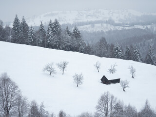 Winter landscapes with cold atmosphere