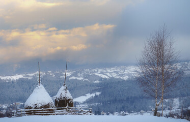 Beautiful light in the morning