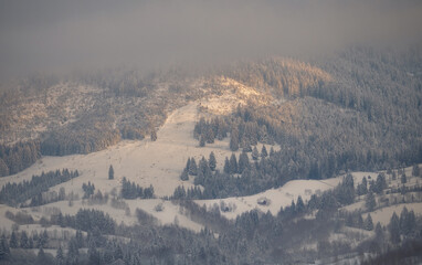 Beautiful light in the morning