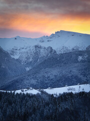 Beautiful light in the morning