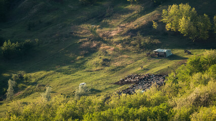 landscape in the mountains