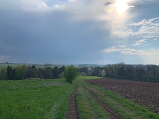 railway in the field