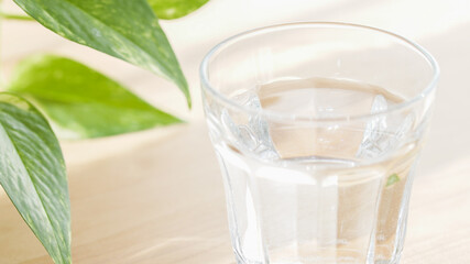 コップに入った水