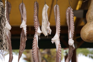 Octopus tentacles on display in Greece