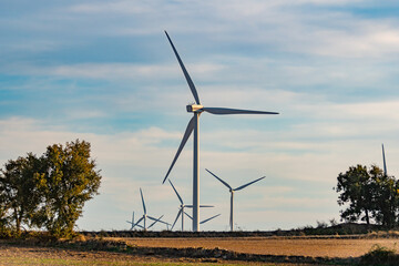wind turbine farm in the middle of crop fields