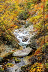 錦秋の二口峡谷上流部