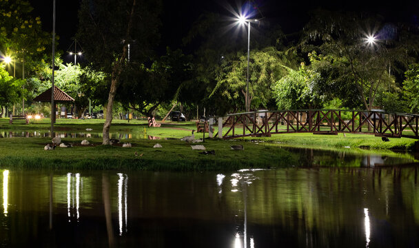 BRAZIL, PARANAIBA;  NIGHT NATURE, 2021