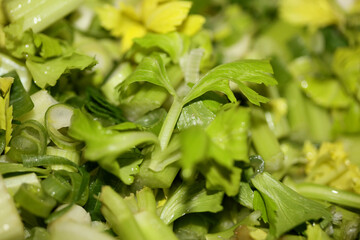 Mixed salad vegetables with dill leek and green fresh onions macro background modern high quality prints