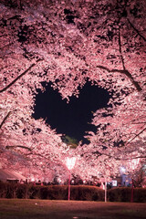 【青森】弘前公園の空に浮かぶ桜のハートマーク